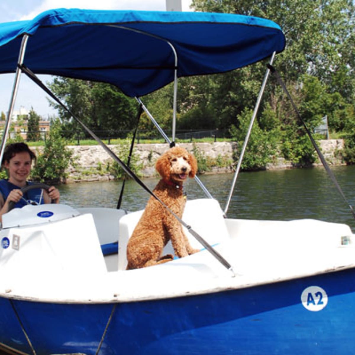 centre_nautique_du_canal___aventures_h2o_8