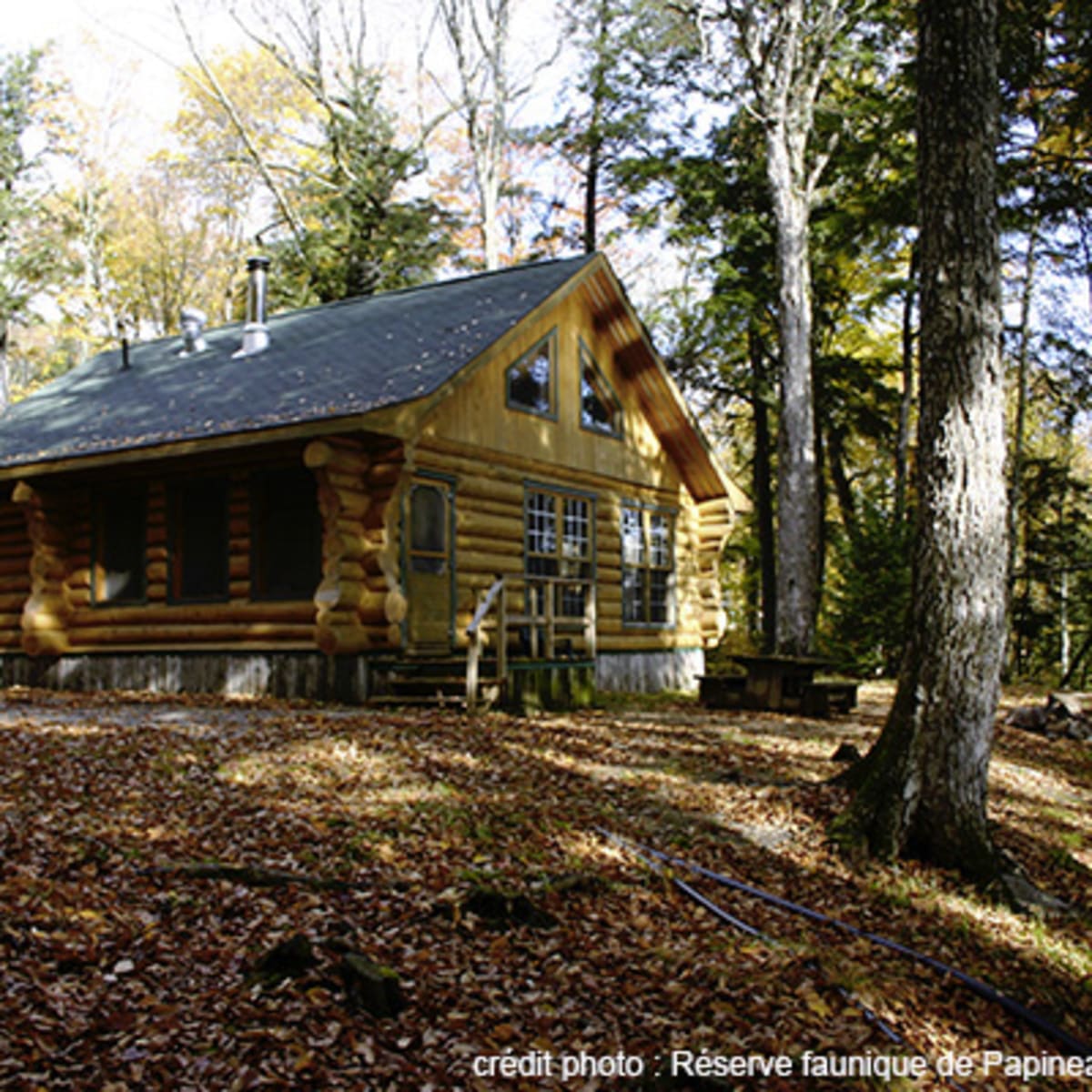 chalets_de_la_reserve_faunique_de_papineau_labelle_2