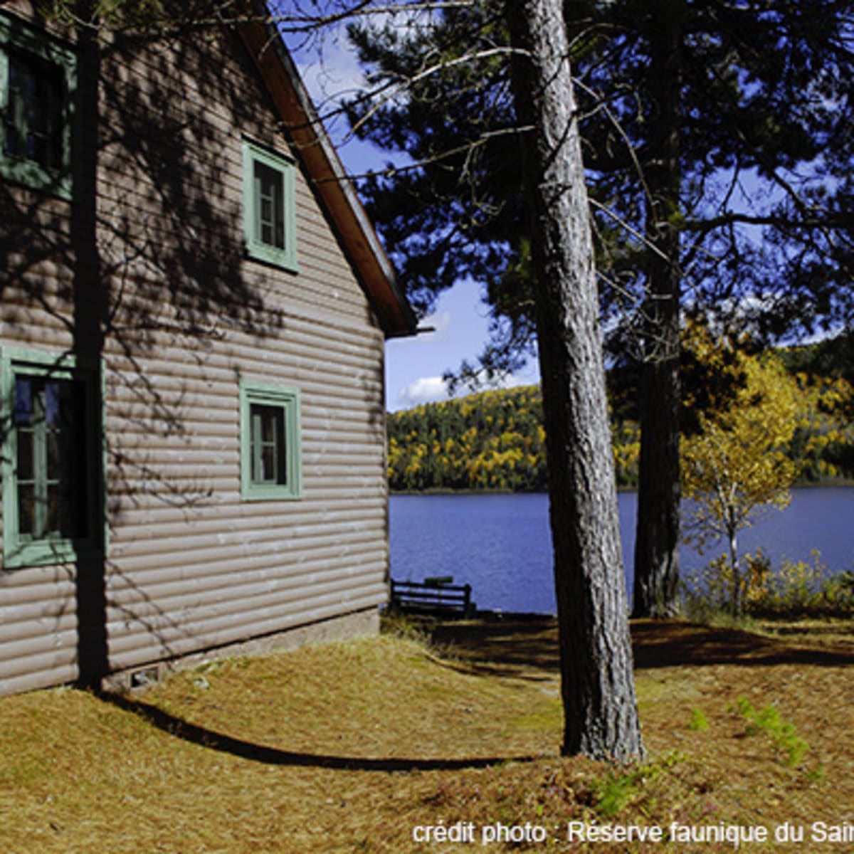 chalets_de_la_reserve_faunique_du_saint_maurice_2