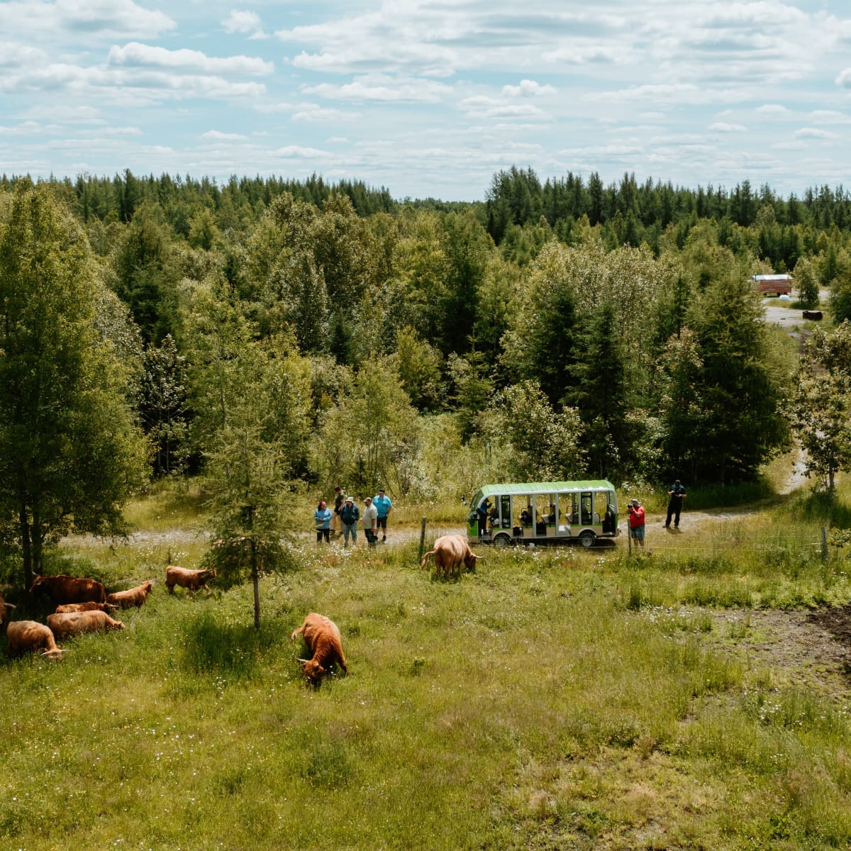 chalets_villegiature__pourvoirie_daaquam_9