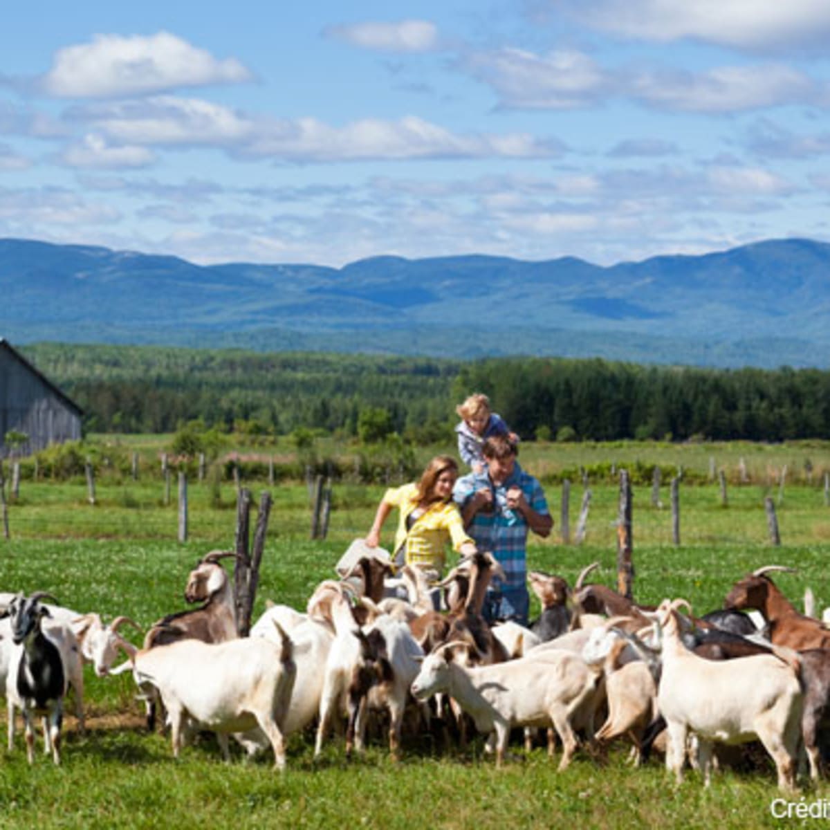 charlevoix_charme_moi___secteur_de_larriere_pays_4