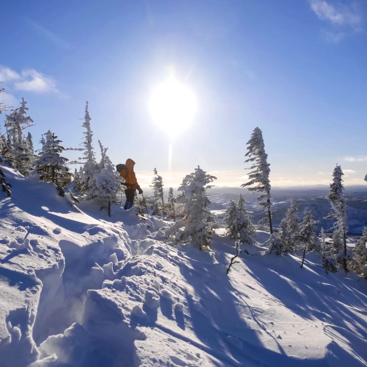 charlevoix_charme_moi___secteur_de_larriere_pays_4_h