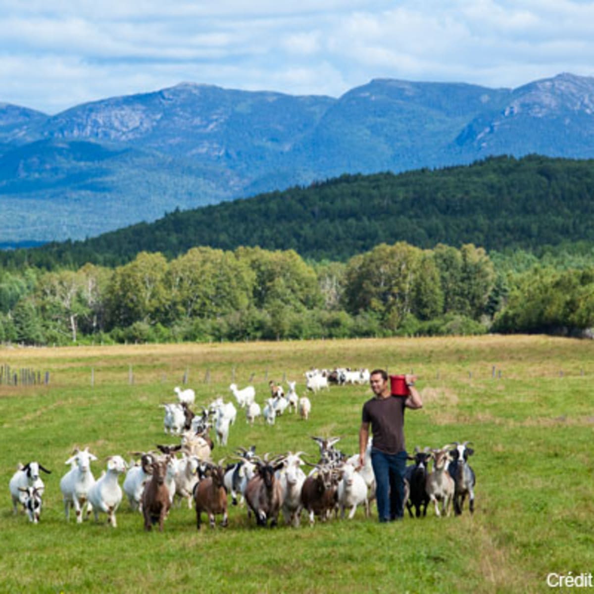 charlevoix_charme_moi___secteur_de_larriere_pays_5