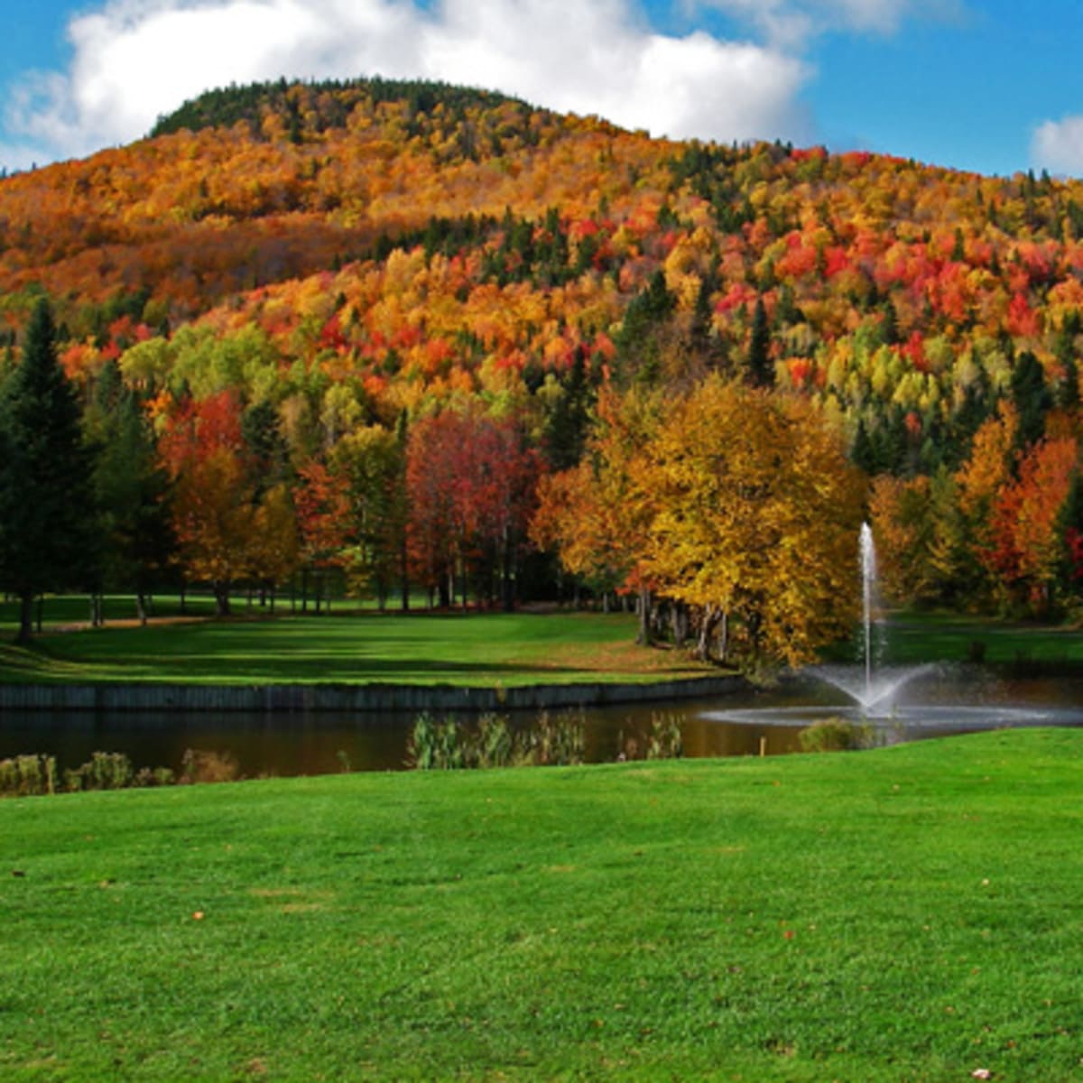 club_de_golf_alpin_1_a