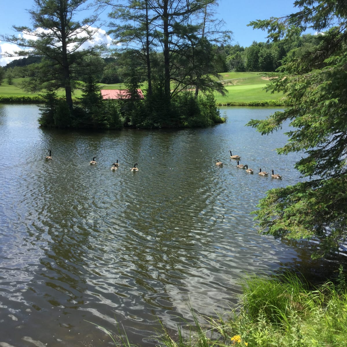 club_de_golf_carling_lake_5