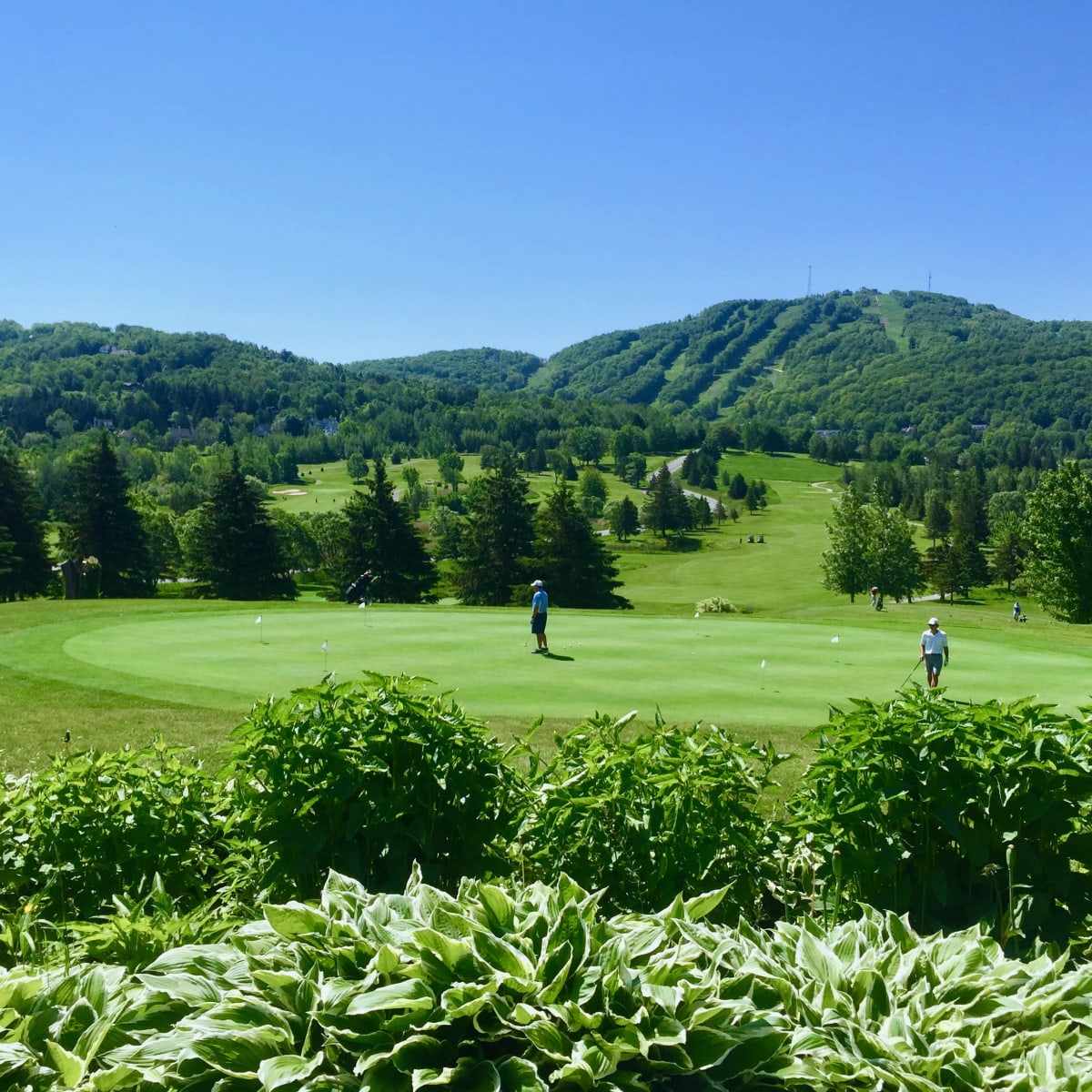club_de_golf_chateau_bromont_le_3