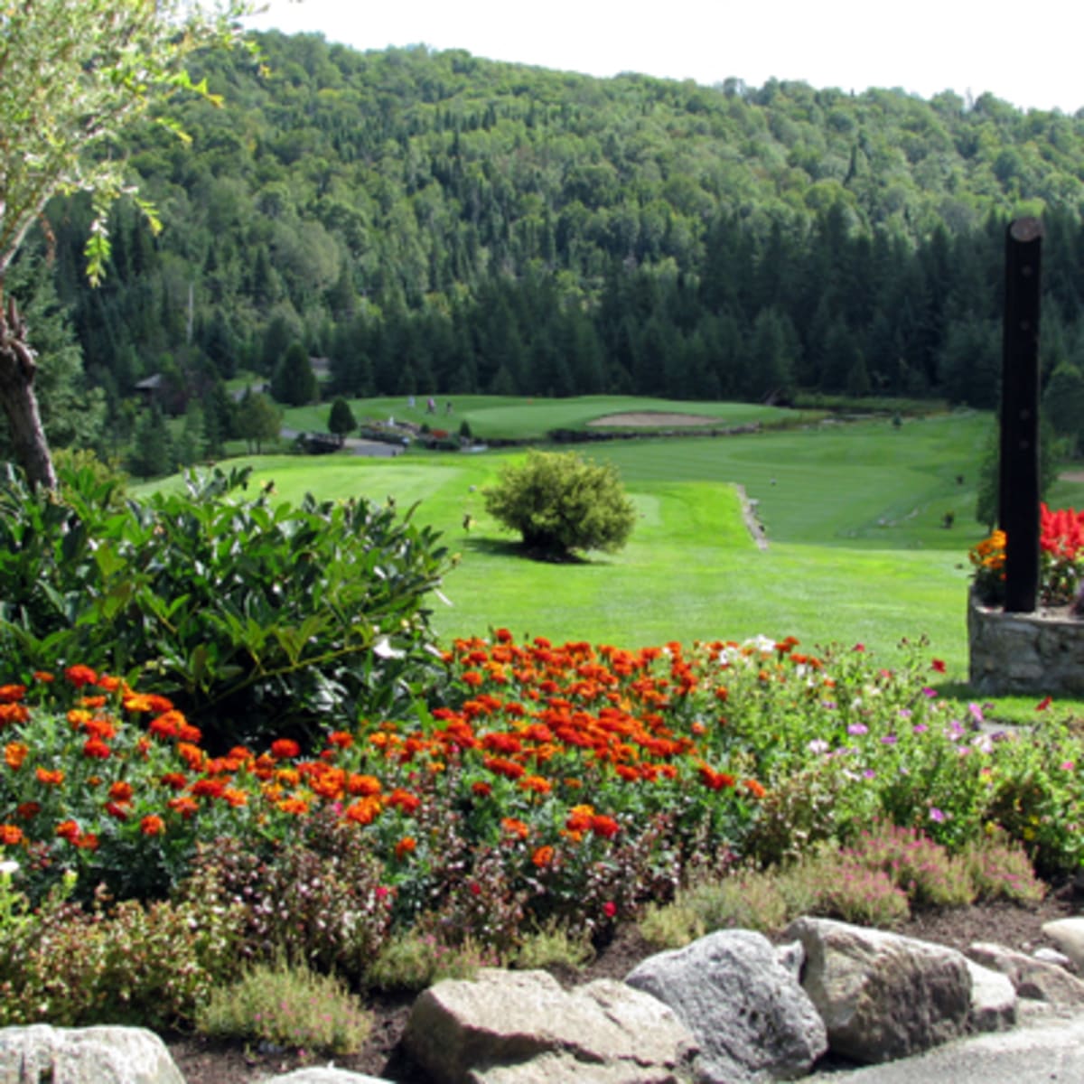 club_de_golf_royal_laurentien_5