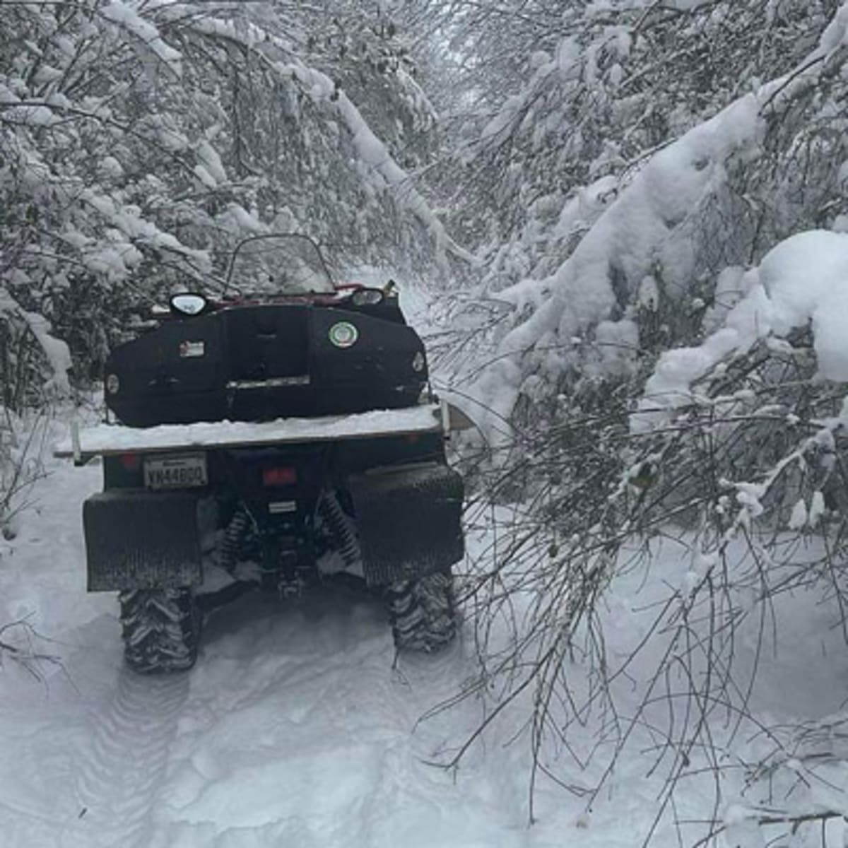 club_quad_sherbrooke_ascot_corner_1_h