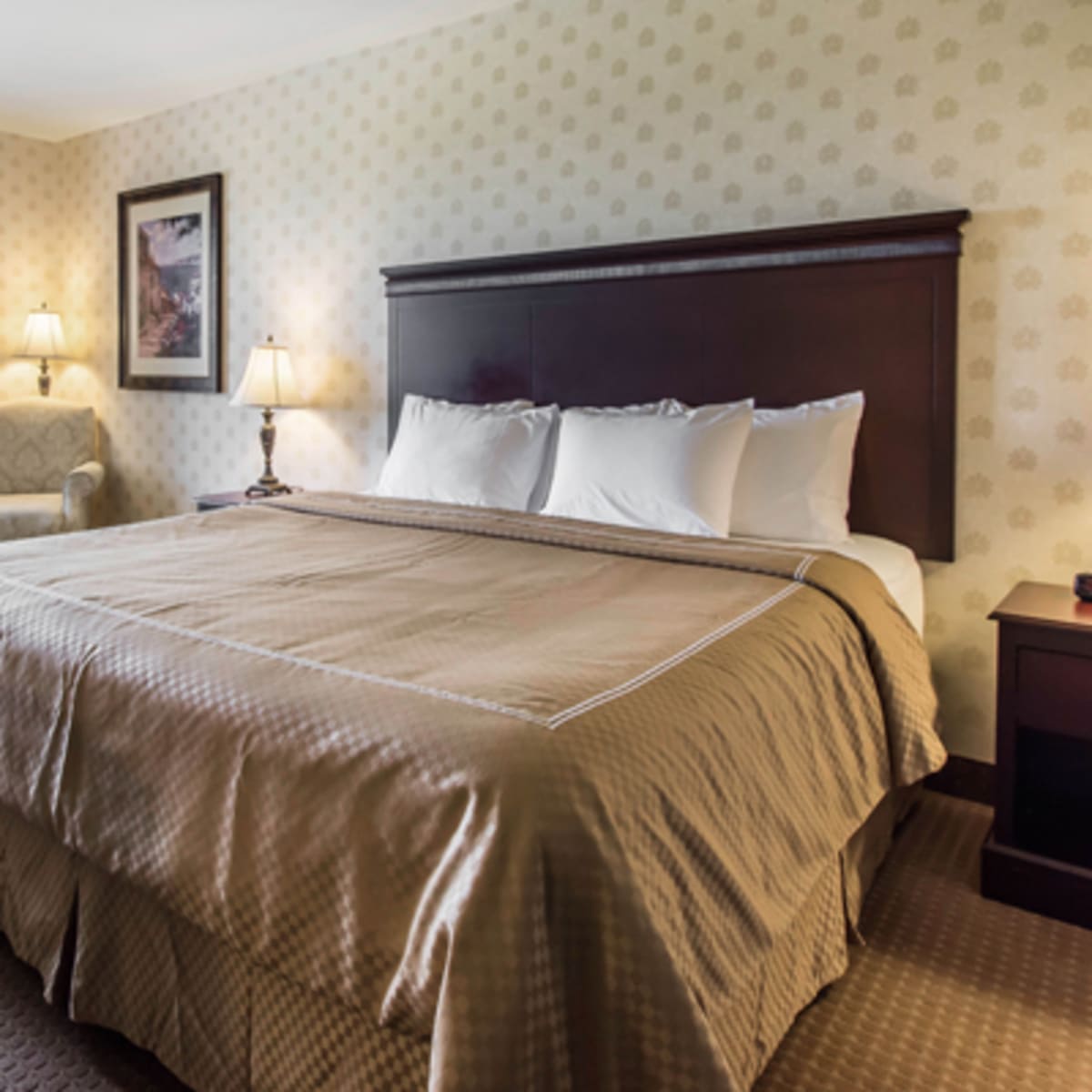 comfort_inn__suites_rive_sud_quebec_saint_nicolas_2