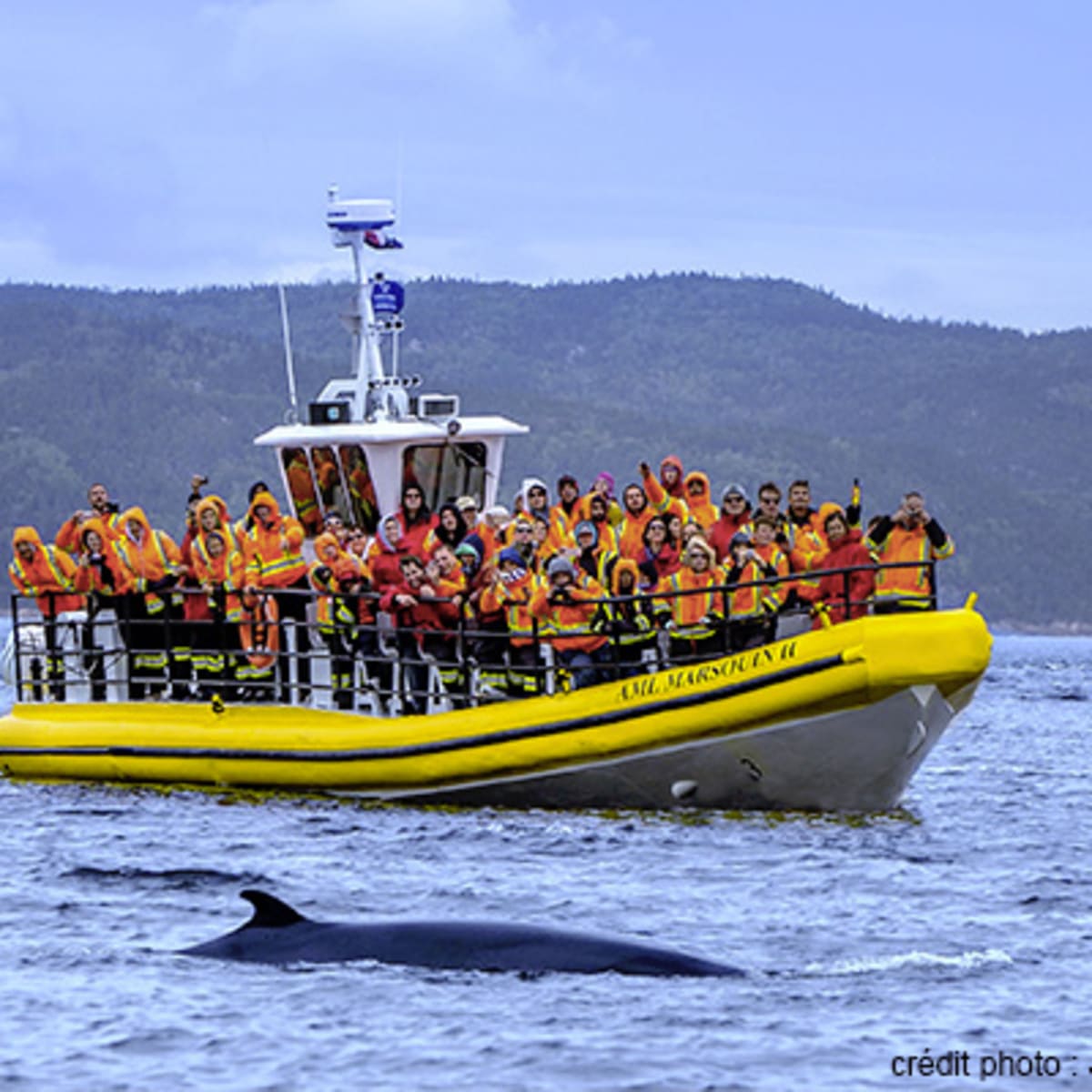 croisieres_aml_charlevoix_4