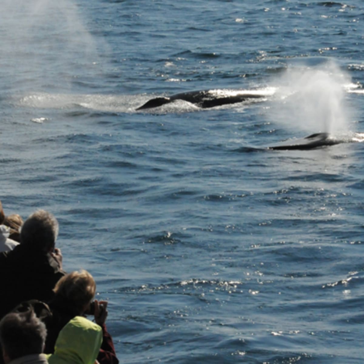 croisieres_aml_charlevoix_6