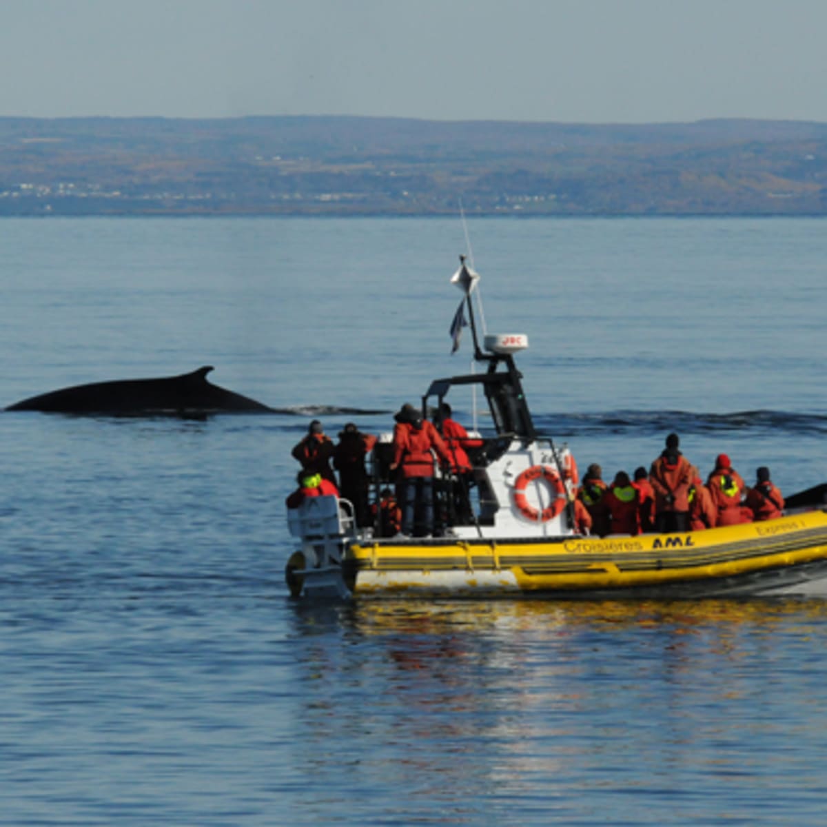 croisieres_aml_charlevoix_8