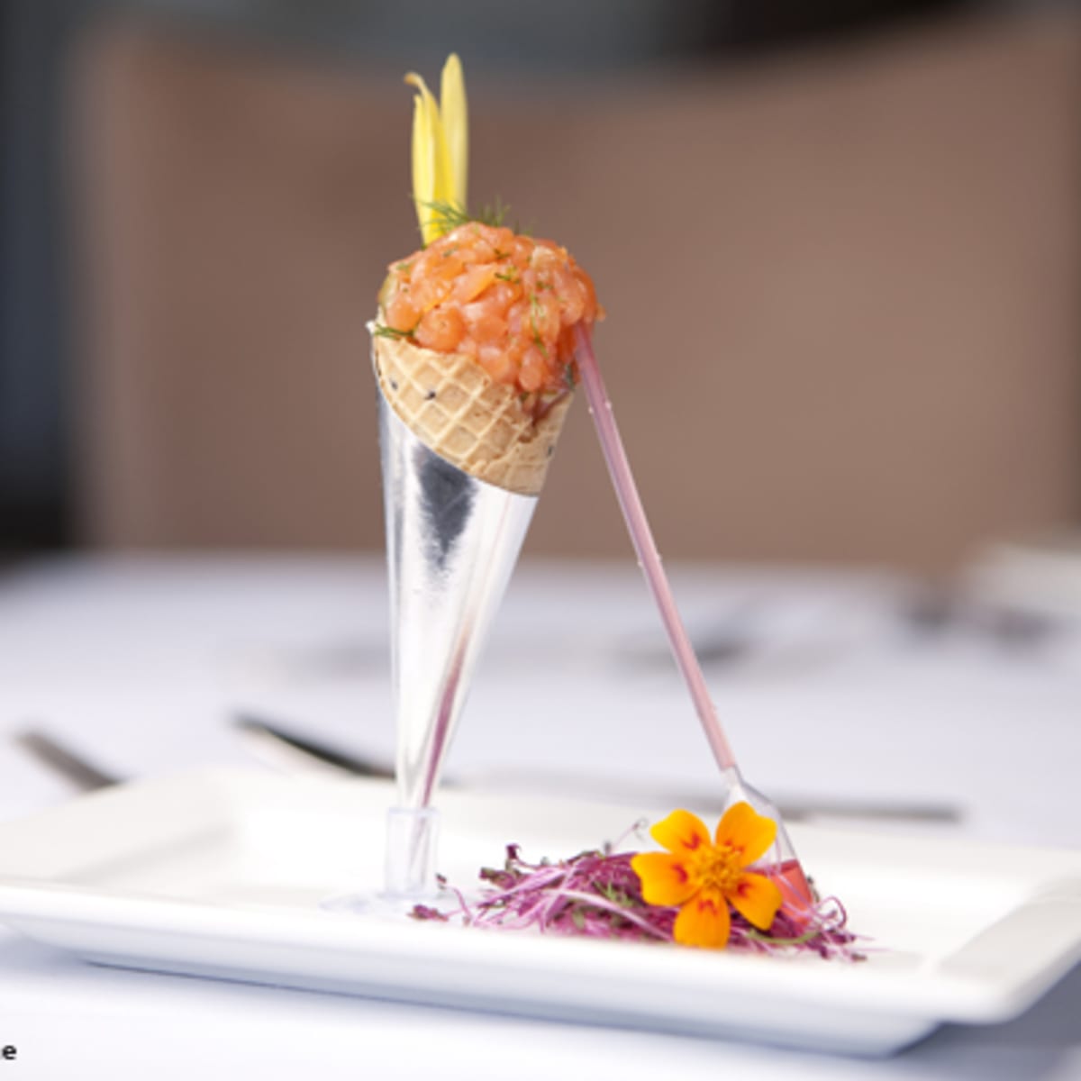 croisieres_aml_montreal_14