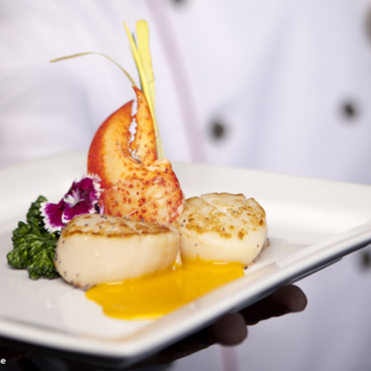 croisieres_aml_montreal_7