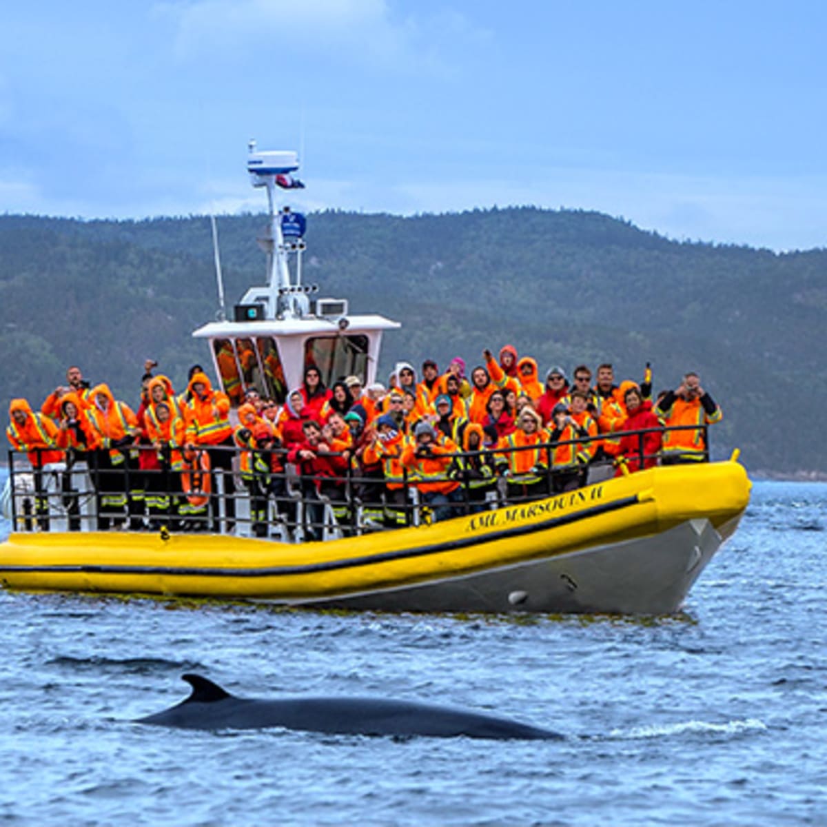 croisieres_aml_tadoussac_17