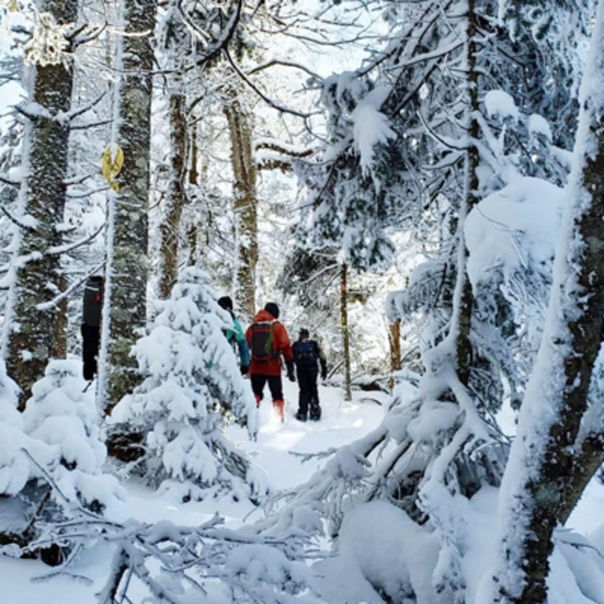 d_tour_tremblant_1_h