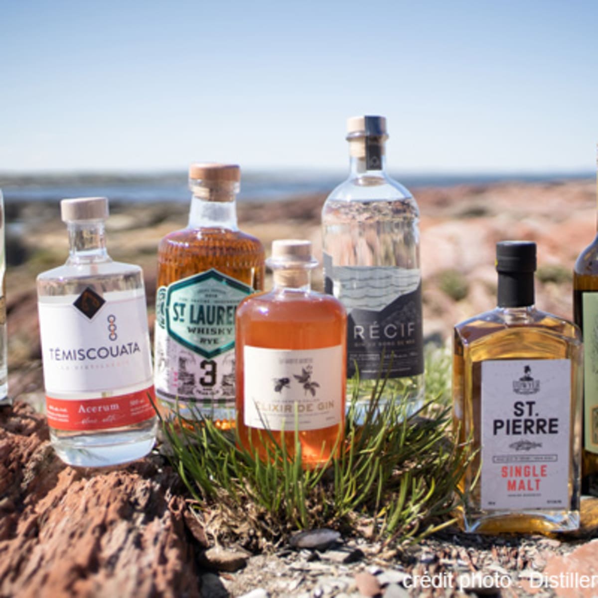 distillerie_des_marigots_1