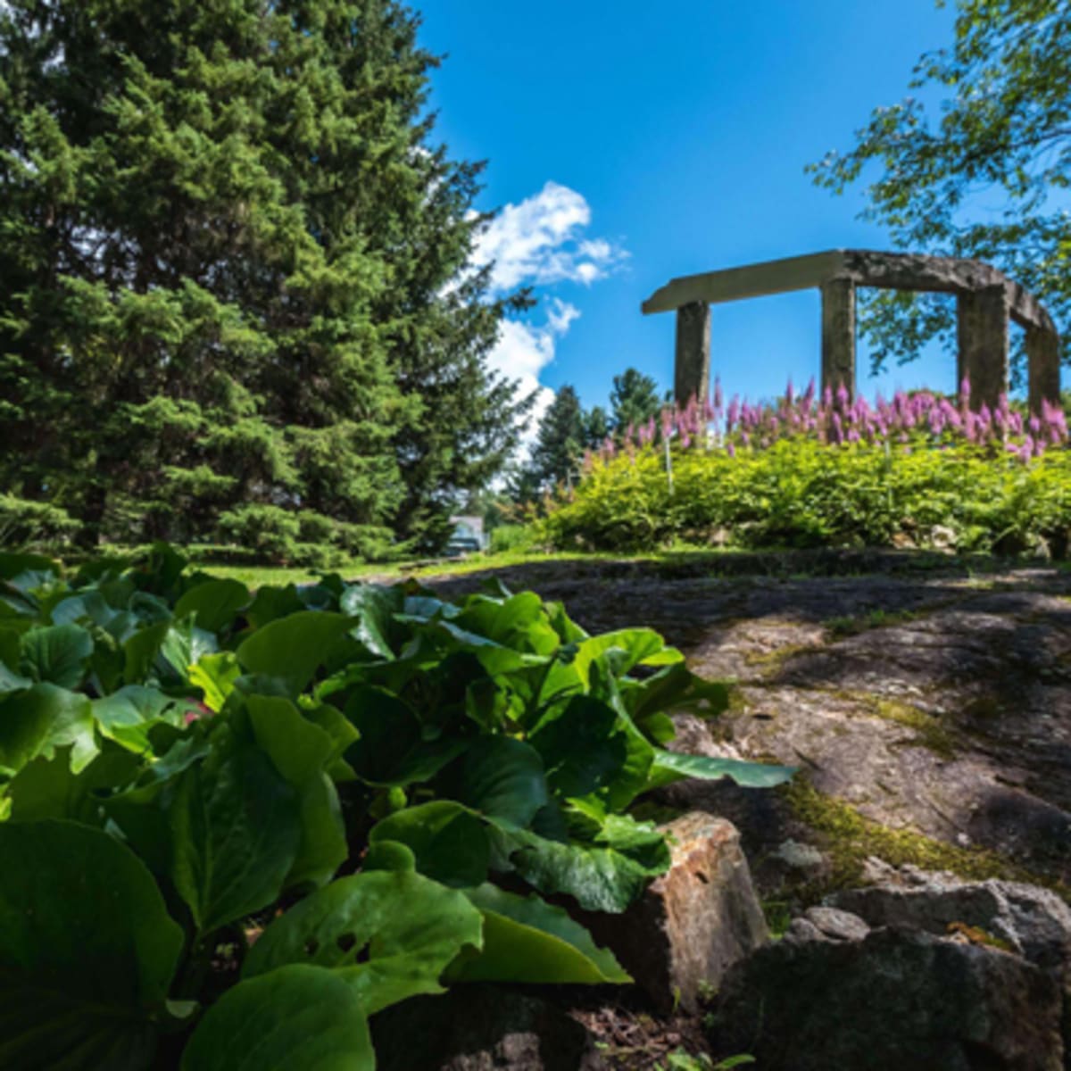 domaine_mackenzie_king_3