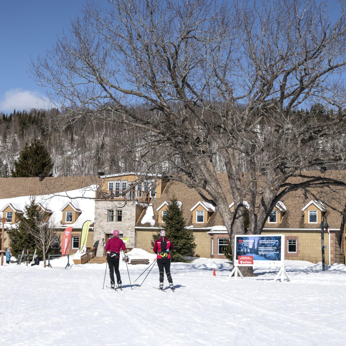domaine_saint_bernard_2_h