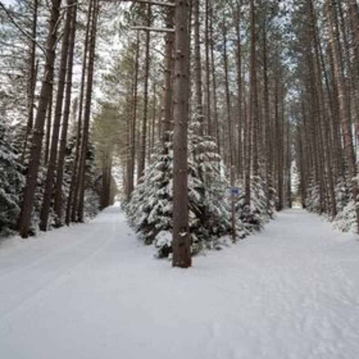 domaine_saint_bernard_5_h