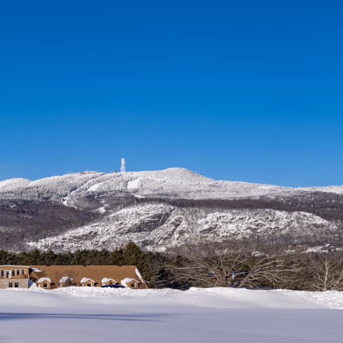 domaine_saint_bernard_7_h