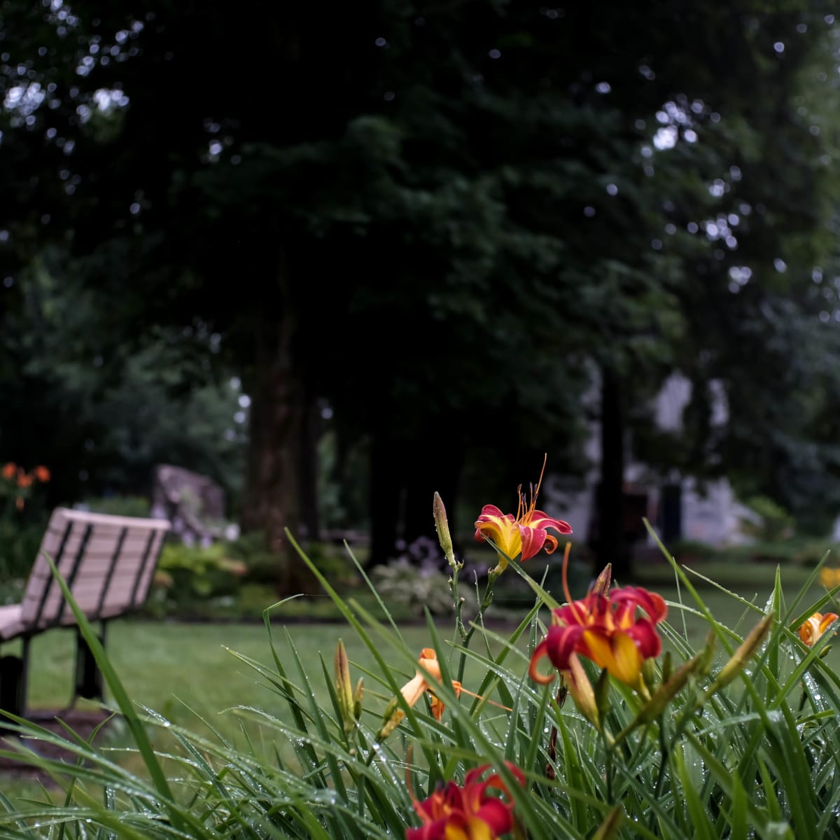 domaine_seigneurial_sainte_anne_4