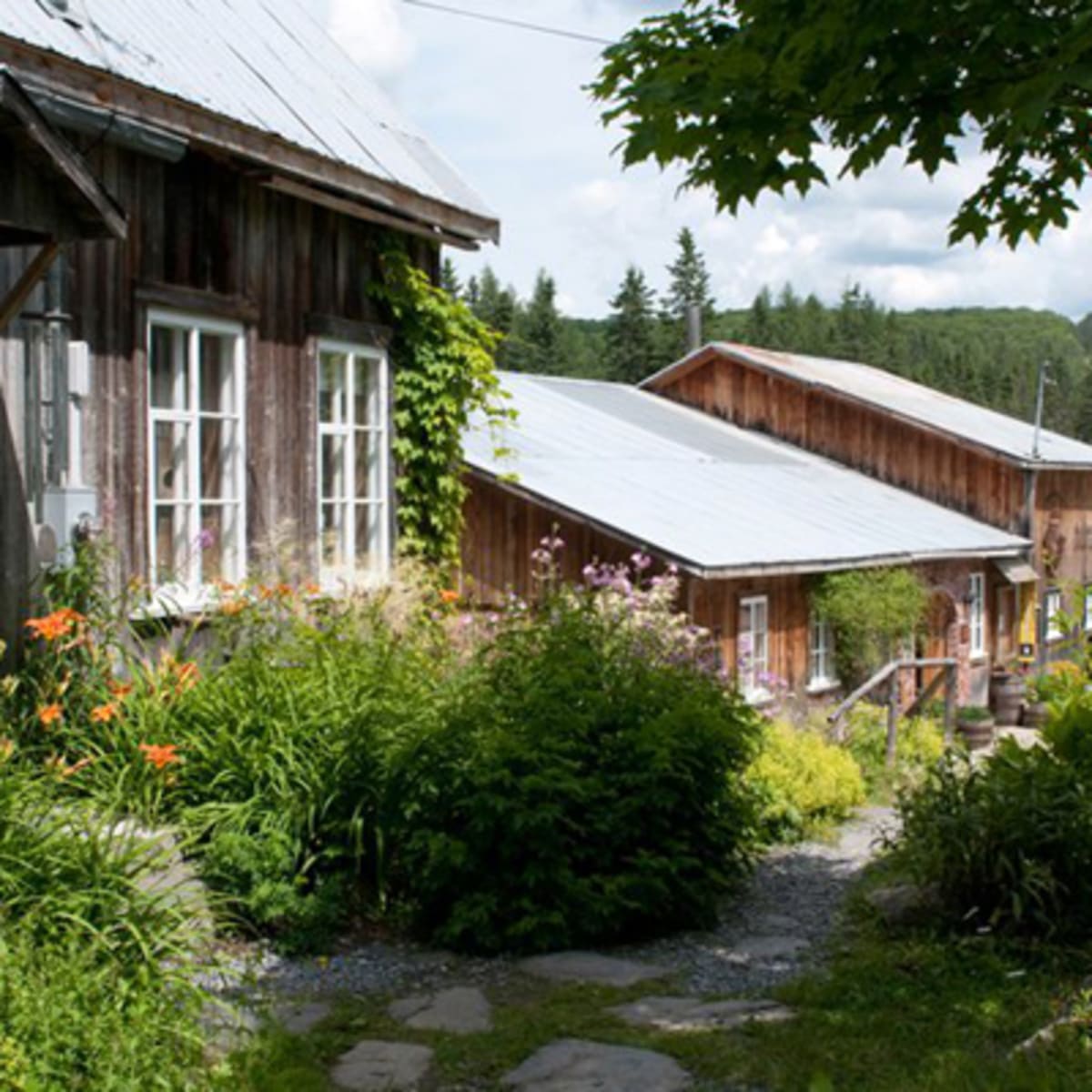 domaine_vallier_robert_5
