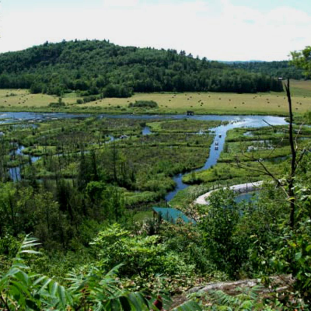 eco_odyssee_2