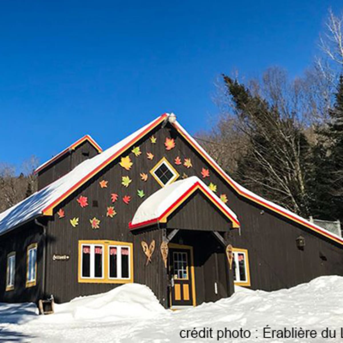 erabliere_du_lac_beauport_1_h