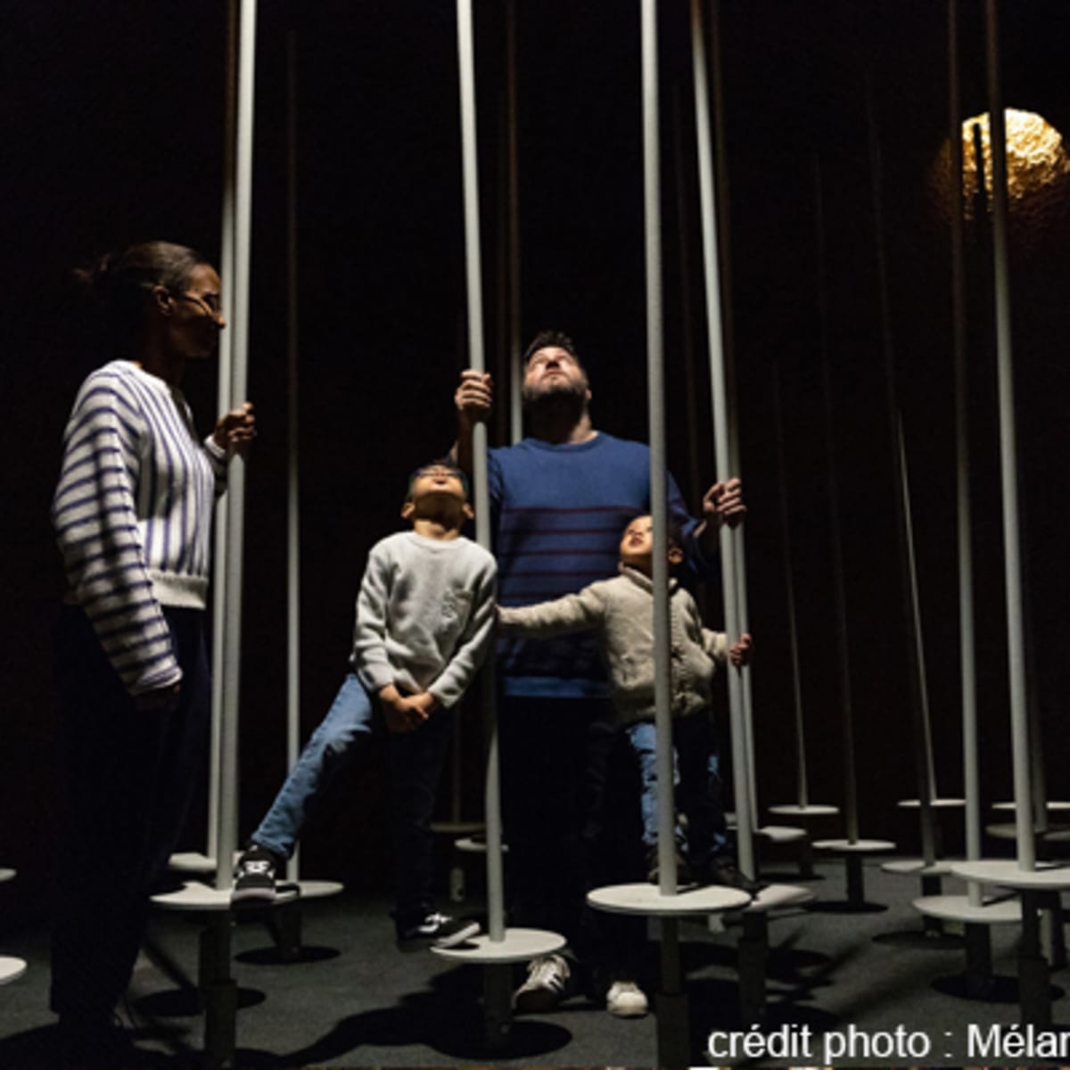 espace_pour_la_vie___insectarium_de_montreal_10