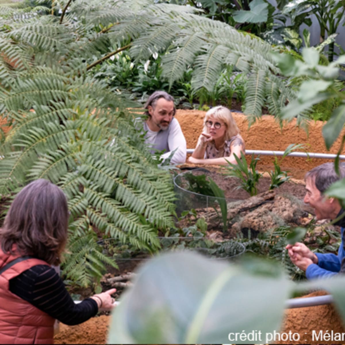 espace_pour_la_vie___insectarium_de_montreal_8