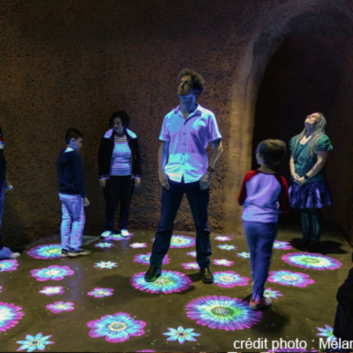 espace_pour_la_vie___insectarium_de_montreal_9