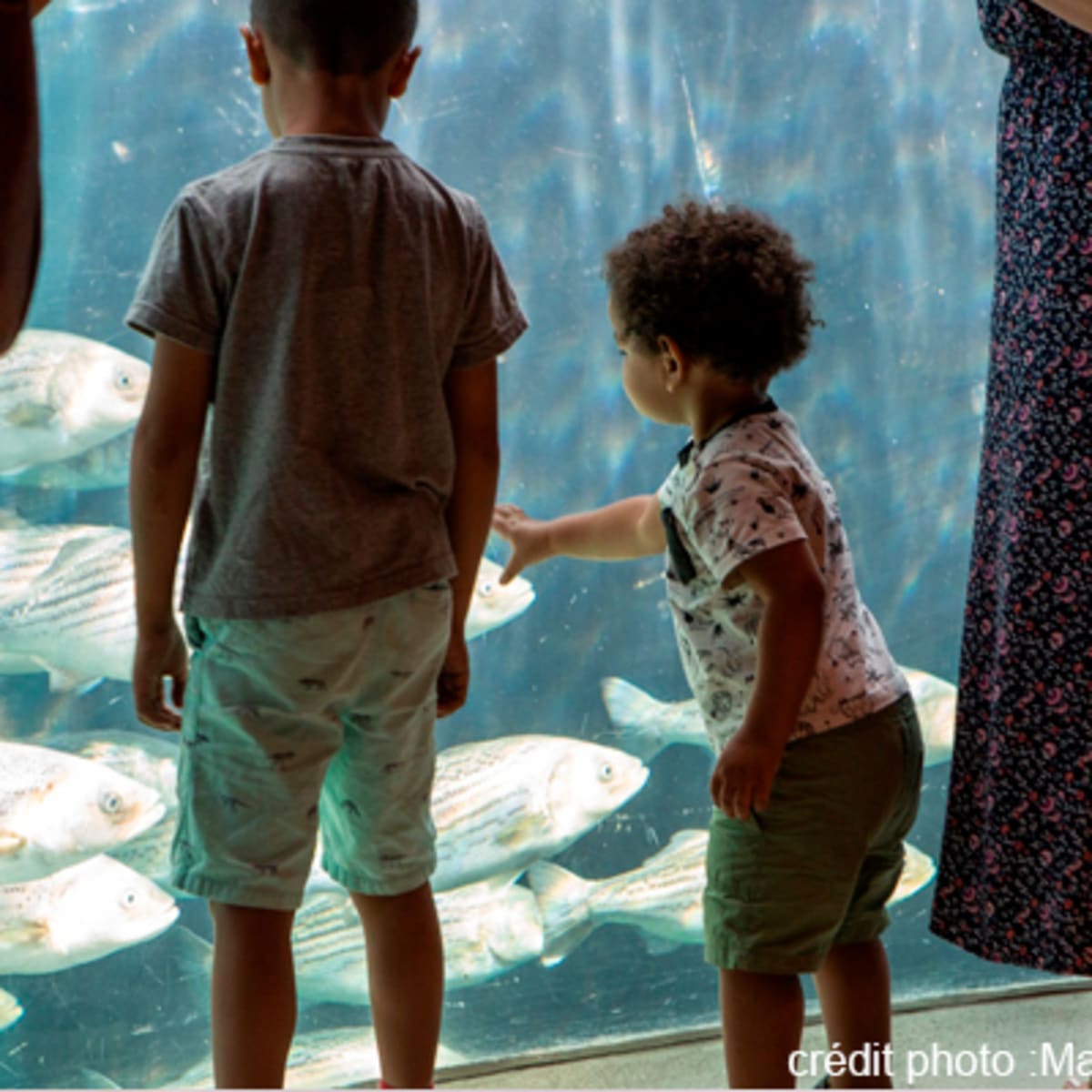 espace_pour_la_vie__biodome_6