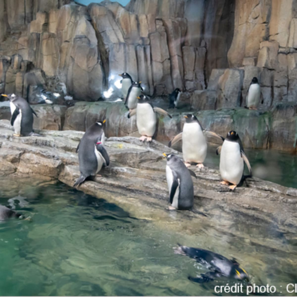 espace_pour_la_vie__biodome_8
