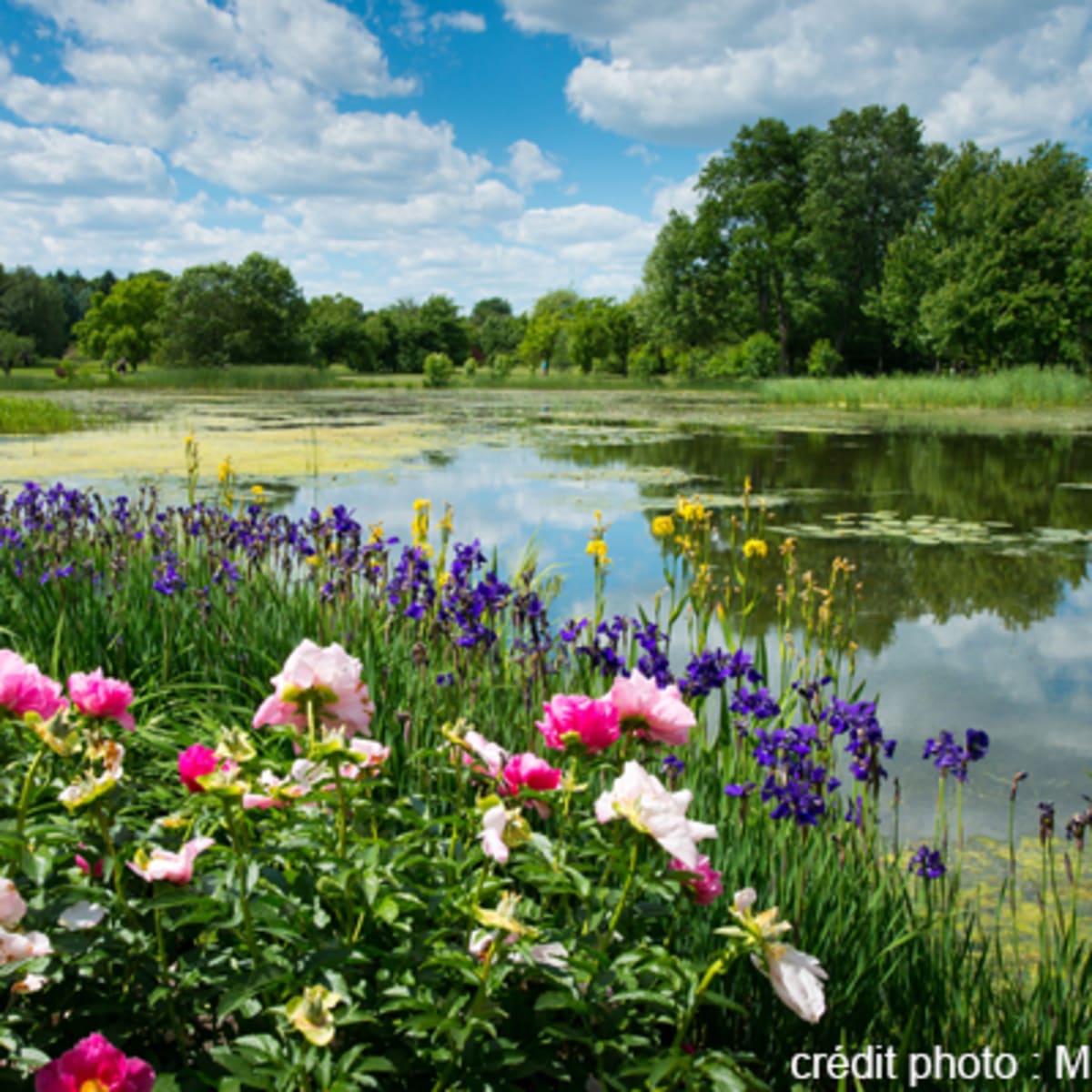 espace_pour_la_vie__jardin_botanique_de_montreal_1