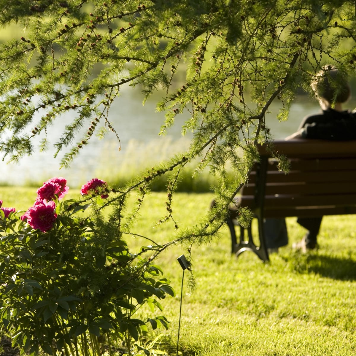 espace_pour_la_vie__jardin_botanique_de_montreal_10