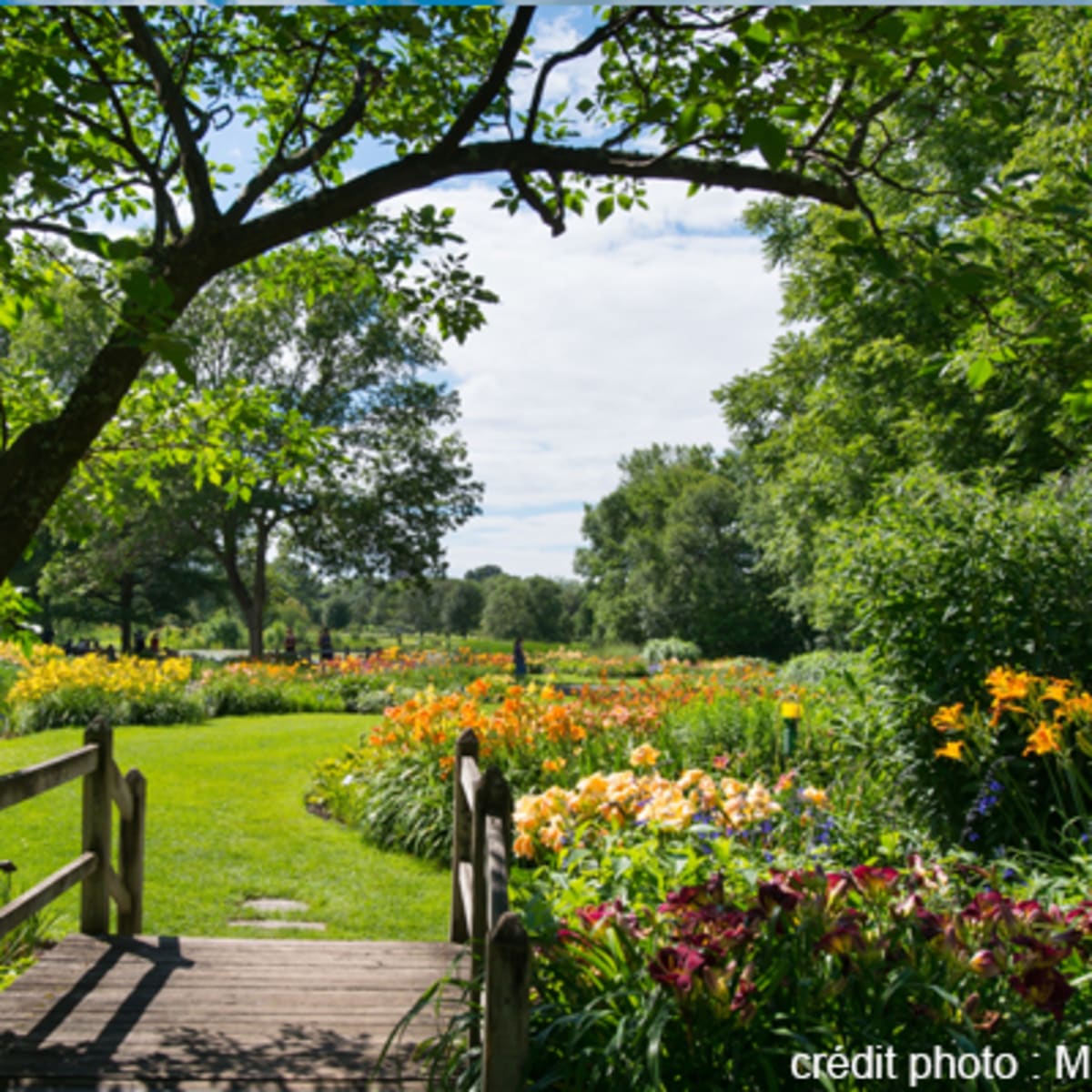 espace_pour_la_vie__jardin_botanique_de_montreal_2