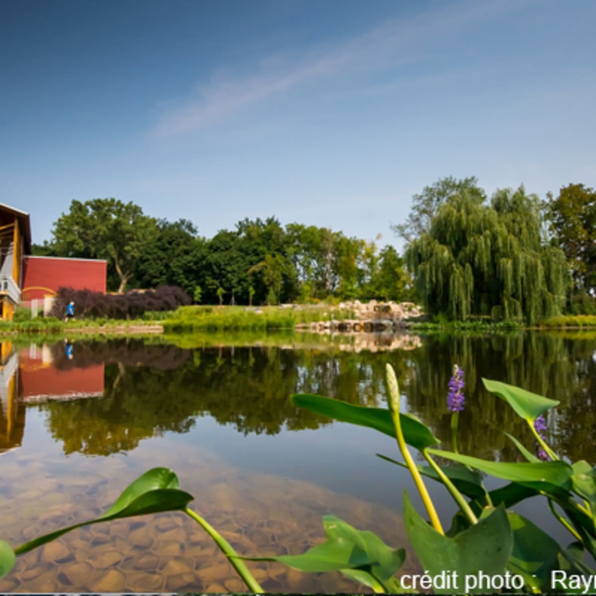 espace_pour_la_vie__jardin_botanique_de_montreal_7