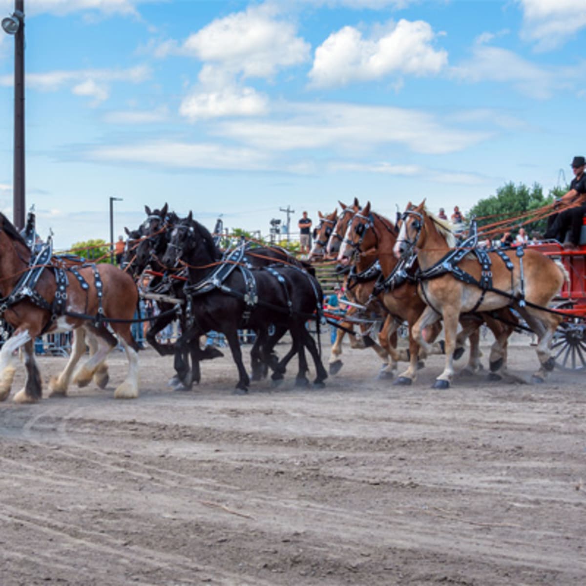 expo_agricole_de_saint_hyacinthe_12