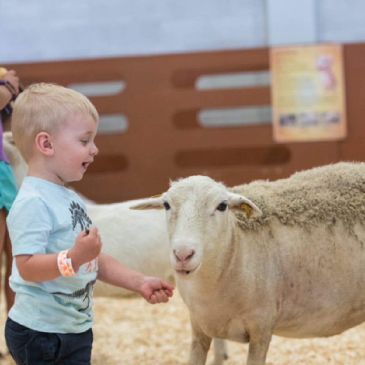 expo_agricole_de_saint_hyacinthe_3