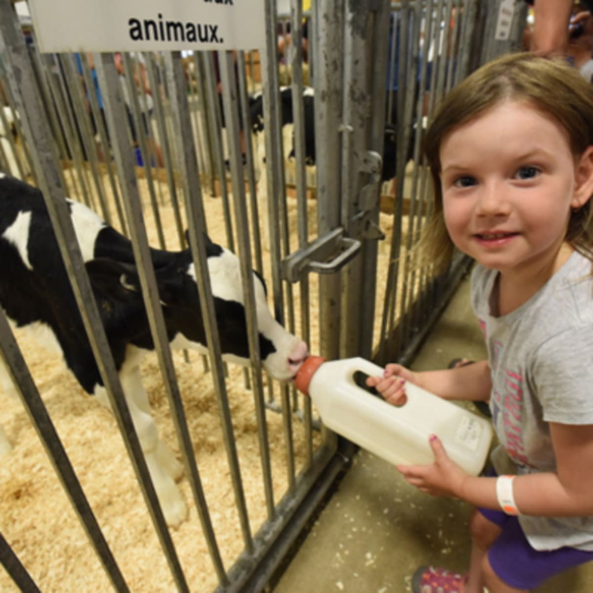 expo_agricole_de_saint_hyacinthe_5