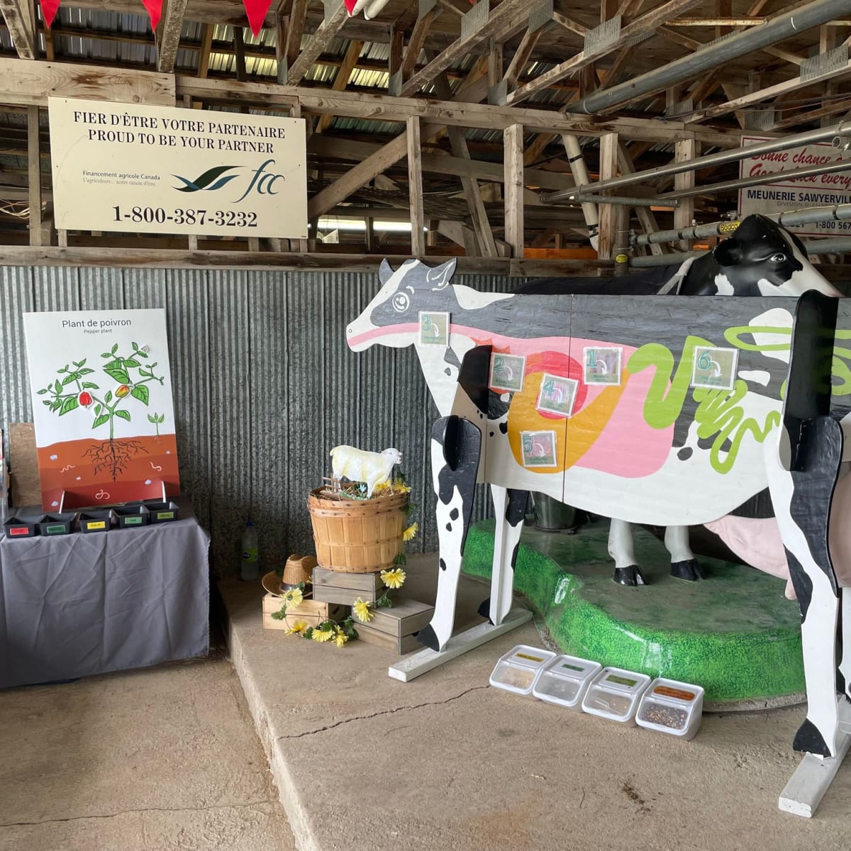 exposition_agricole_cookshire_4