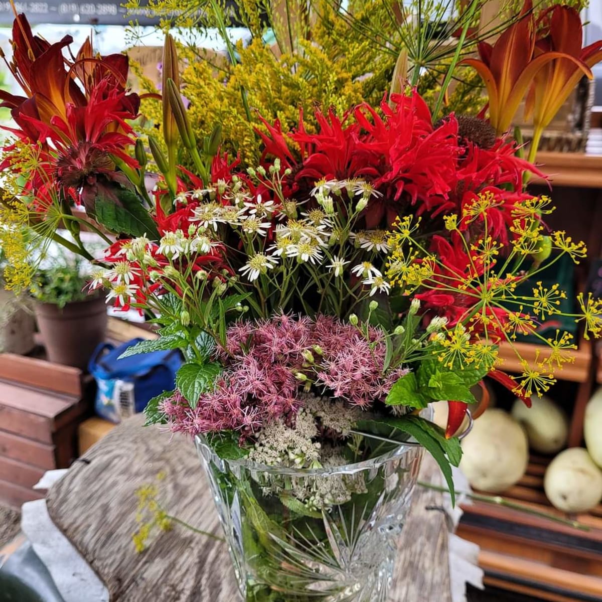 exposition_agricole_cookshire_5