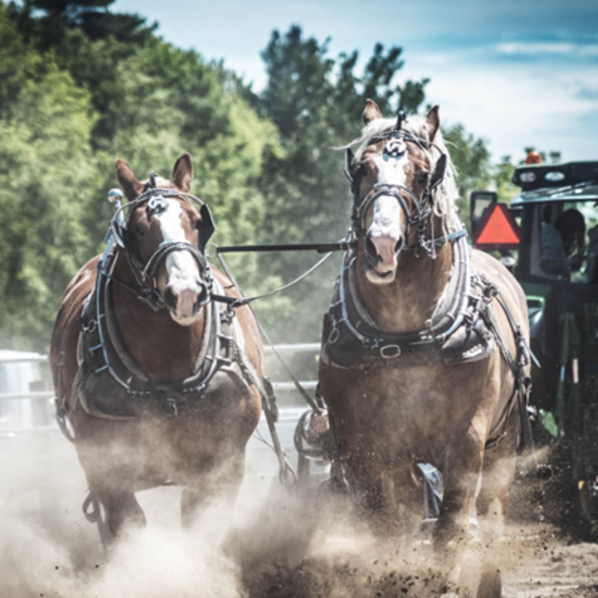 exposition_agricole_de_la_mrc_de_becancour_1