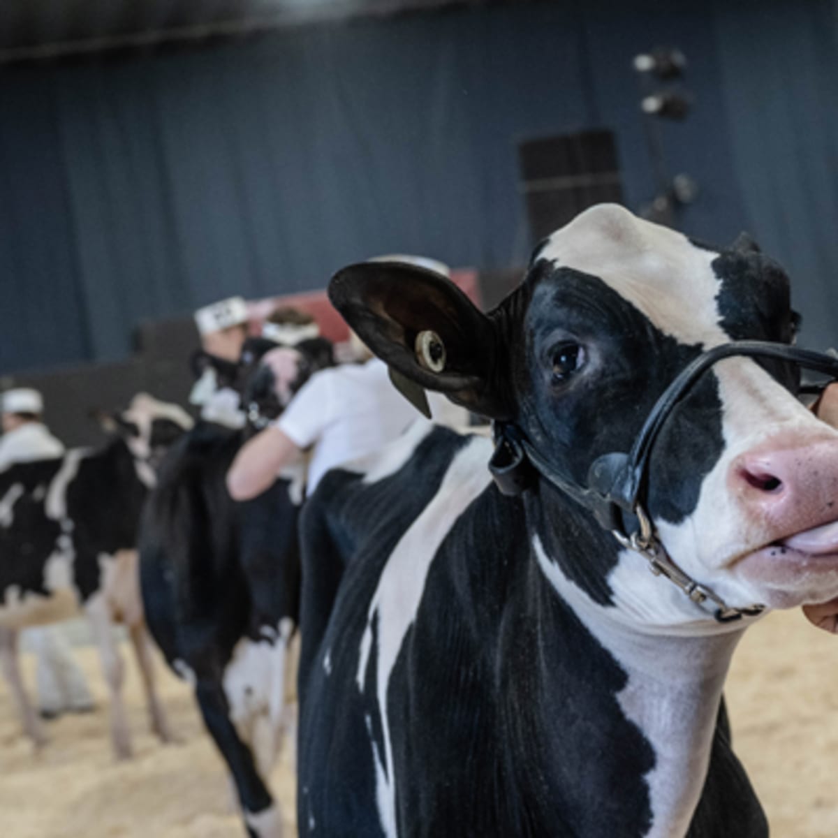 exposition_agricole_de_la_mrc_de_becancour_2