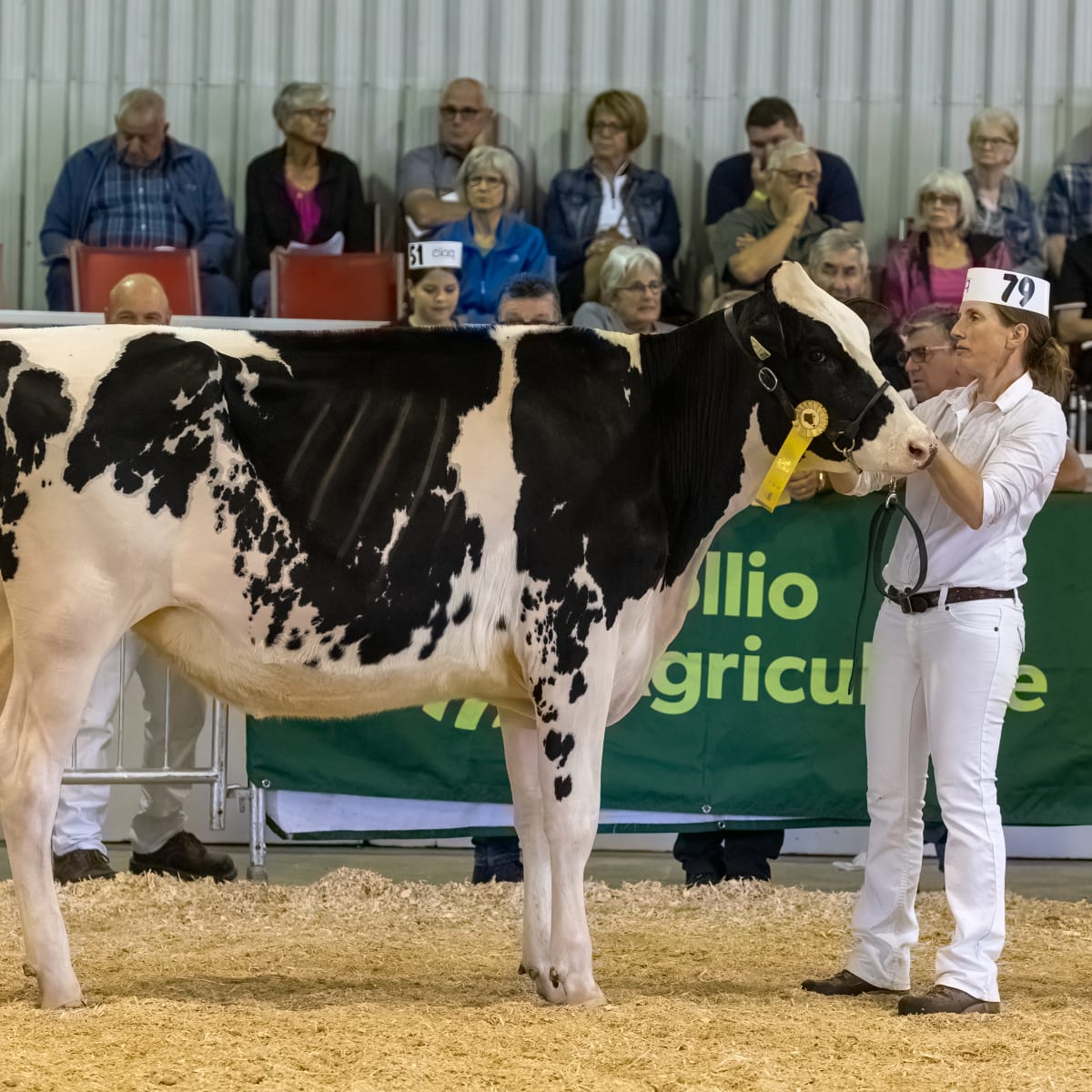 exposition_agricole_de_rimouski_3