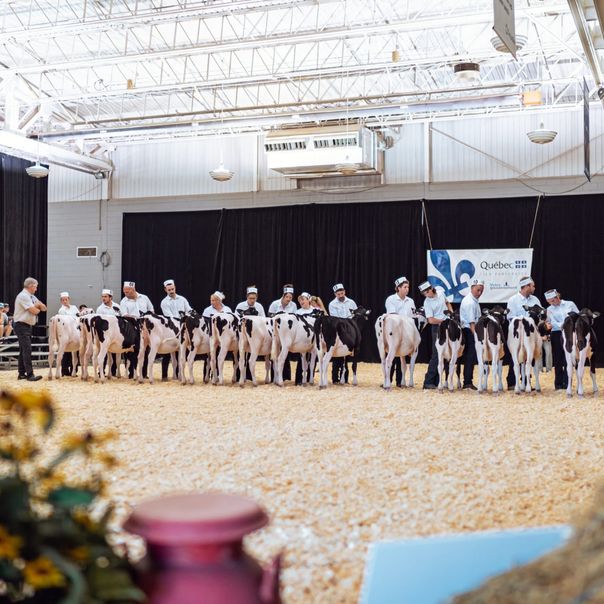 exposition_agricole_de_victoriaville_2