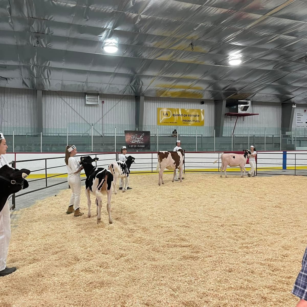 exposition_agricole_du_temiscamingue_2