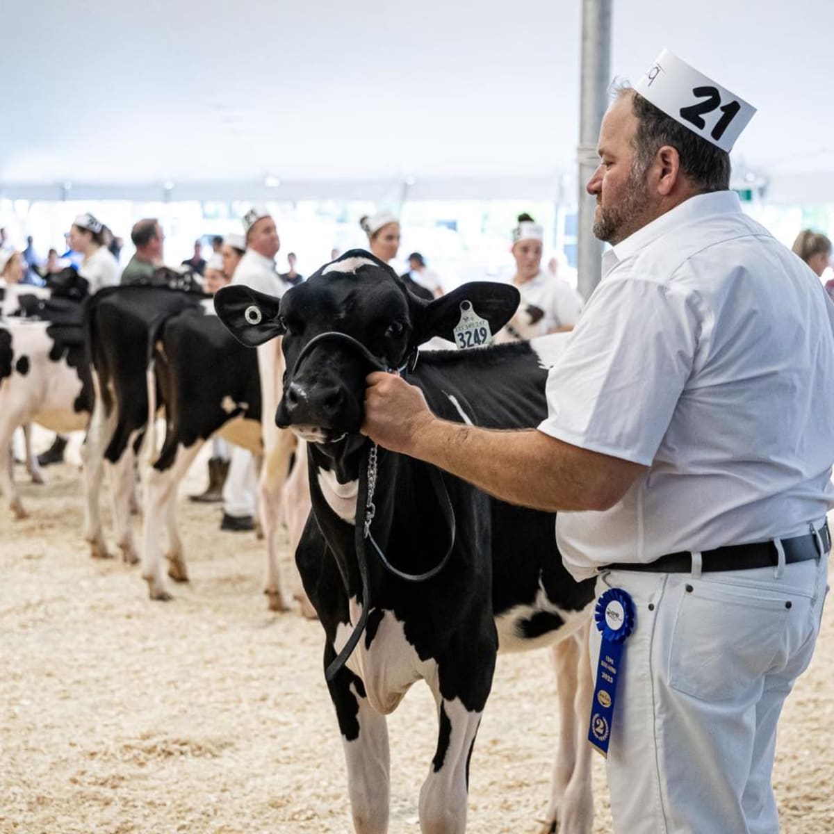 exposition_agricole_regionale_rive_nord_1
