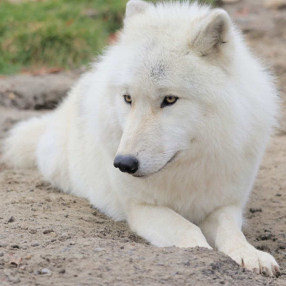 familizoo_3